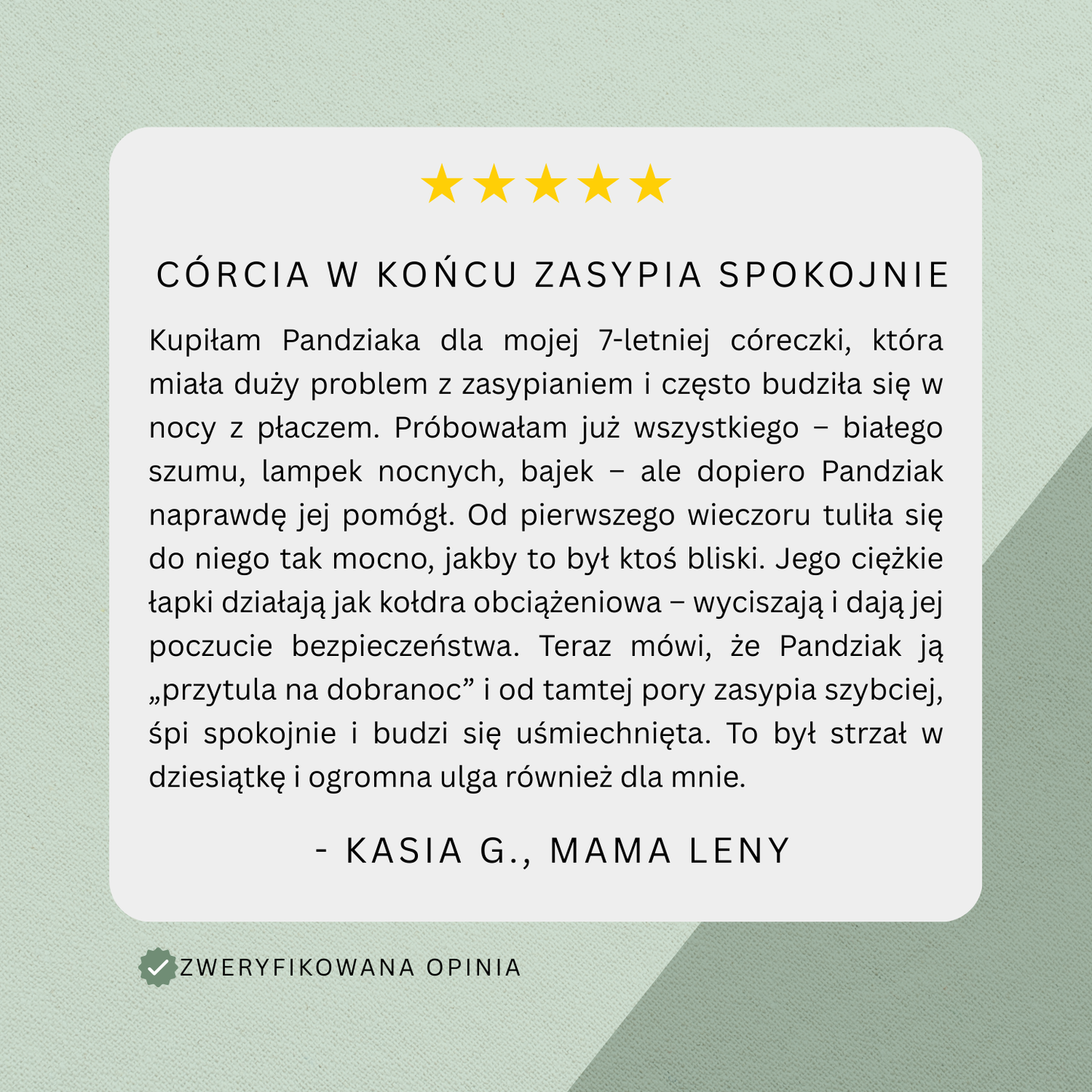 Obciążany Pluszak