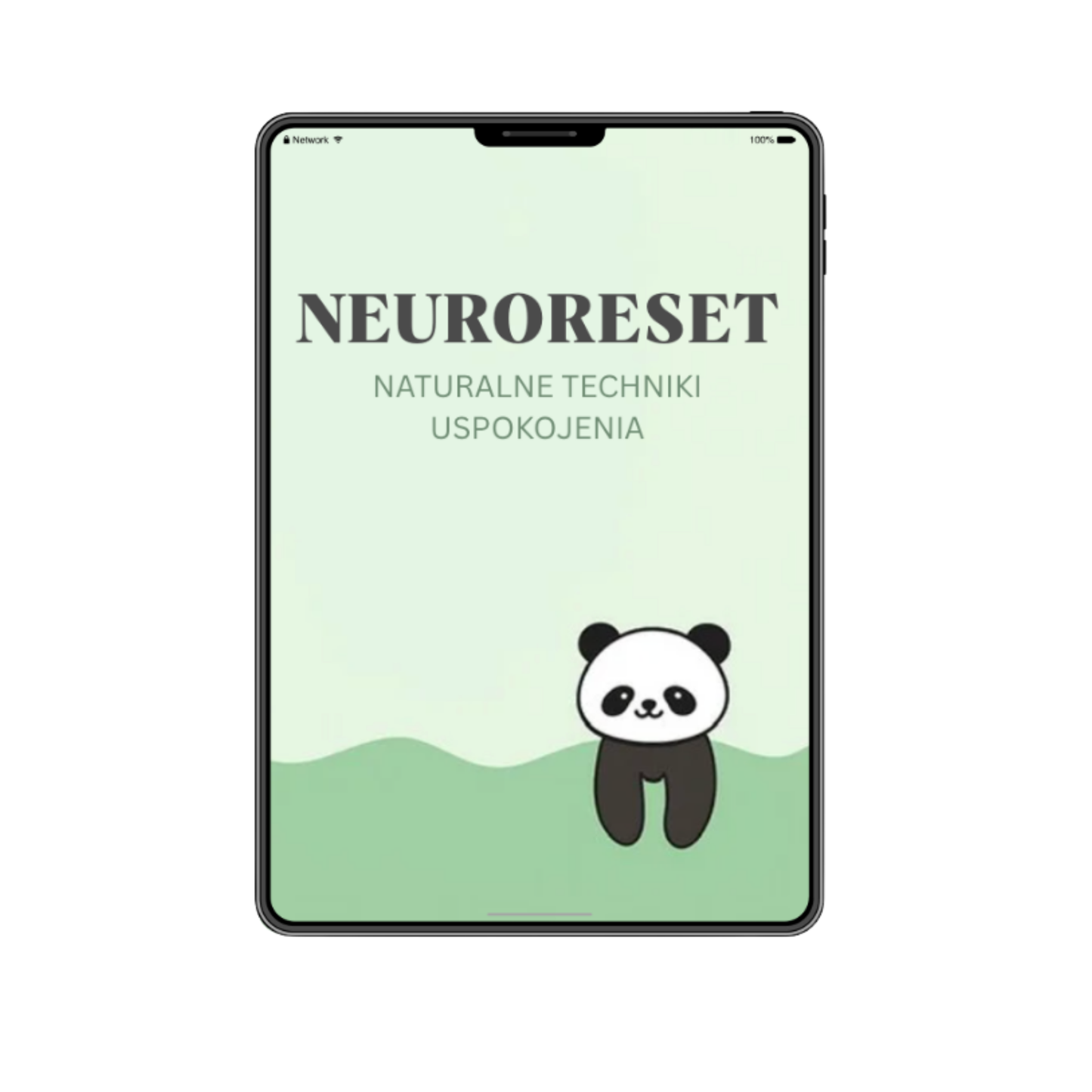 NEURORESET - NATURALNE TECHNIKI USPOKOJENIA EBOOK