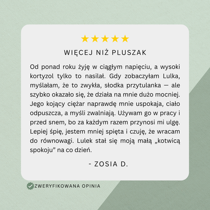 Obciążak™ - Obciążany Pluszak