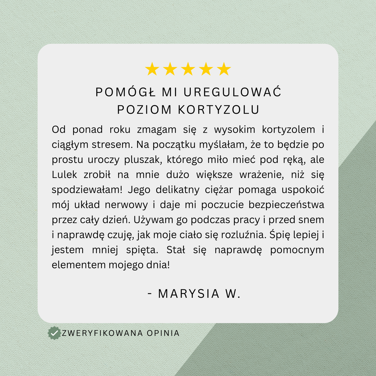 Obciążany Pluszak