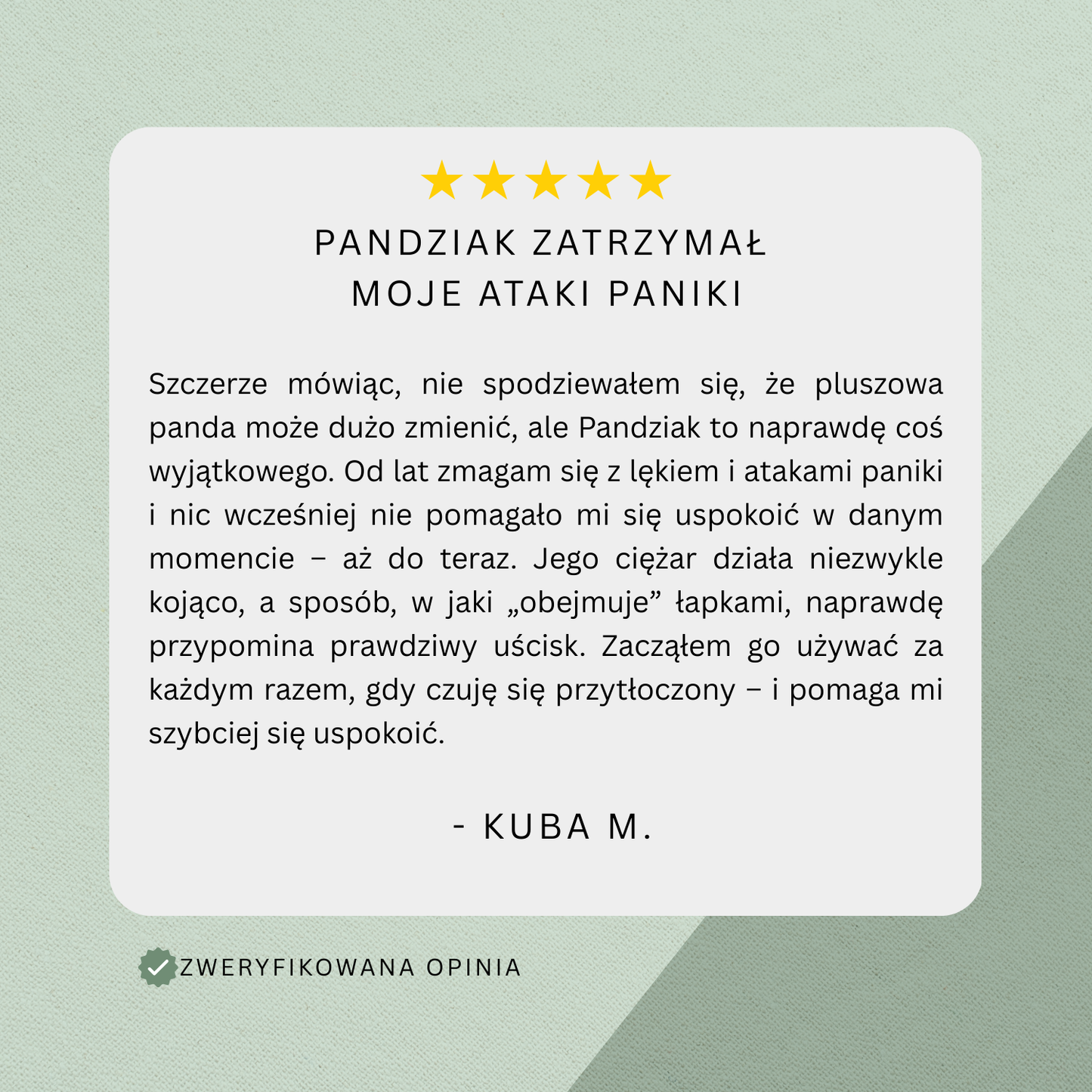Obciążany Pluszak