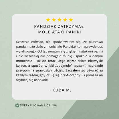 Obciążany Pluszak