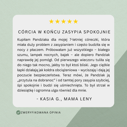 Obciążak™ - Obciążany Pluszak