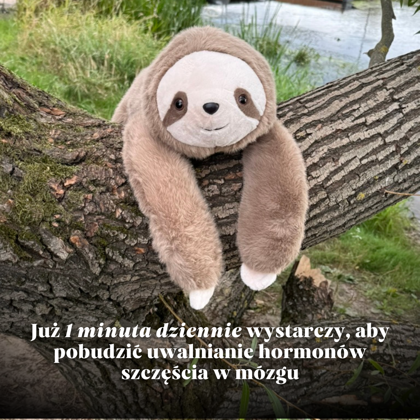 Obciążak™ - Obciążany Pluszak