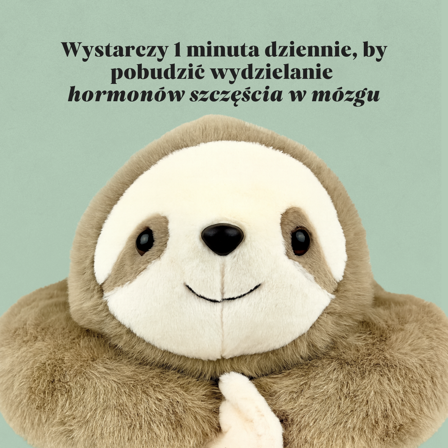 Obciążany Pluszak