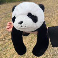 Panda Pandziak