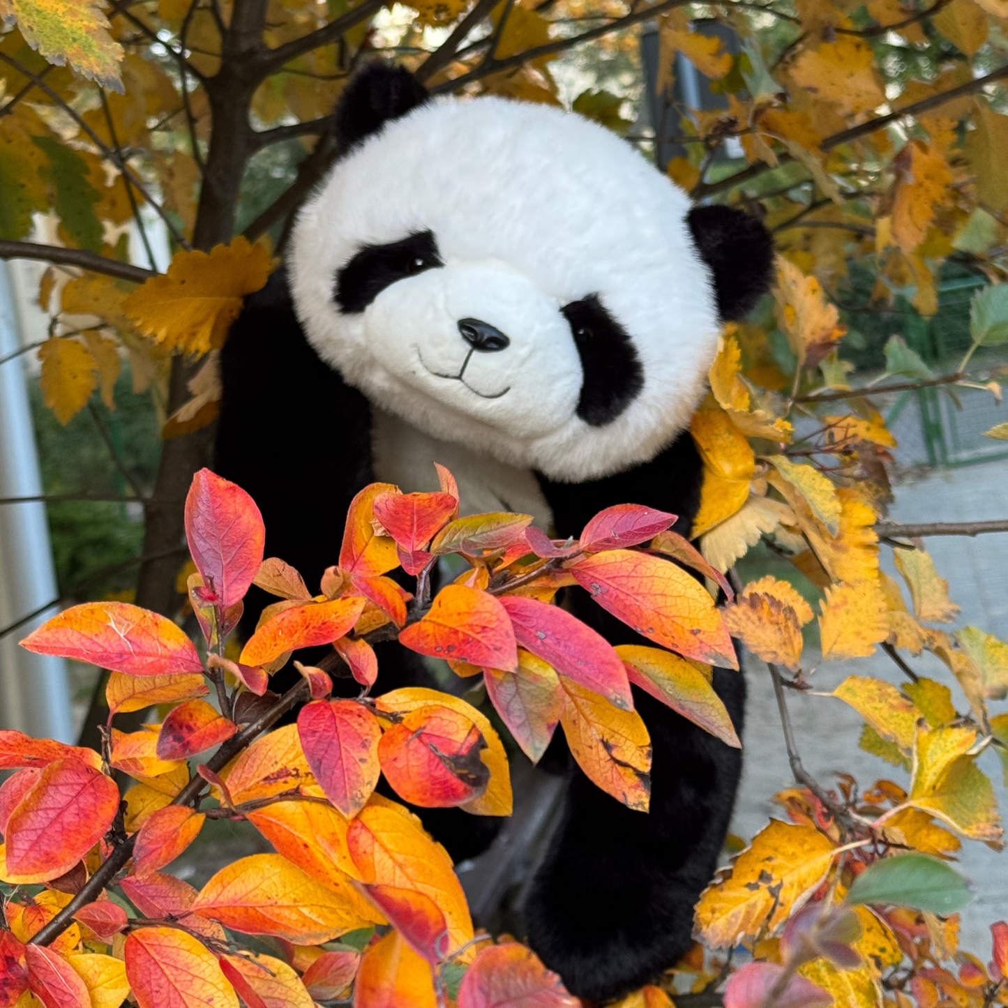 Obciążak™ - Obciążany Pluszak