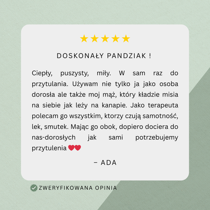 Obciążak™ - Obciążany Pluszak