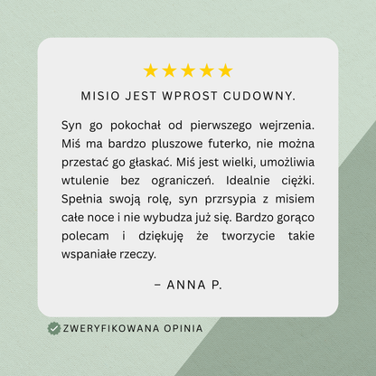 Obciążak™ - Obciążany Pluszak