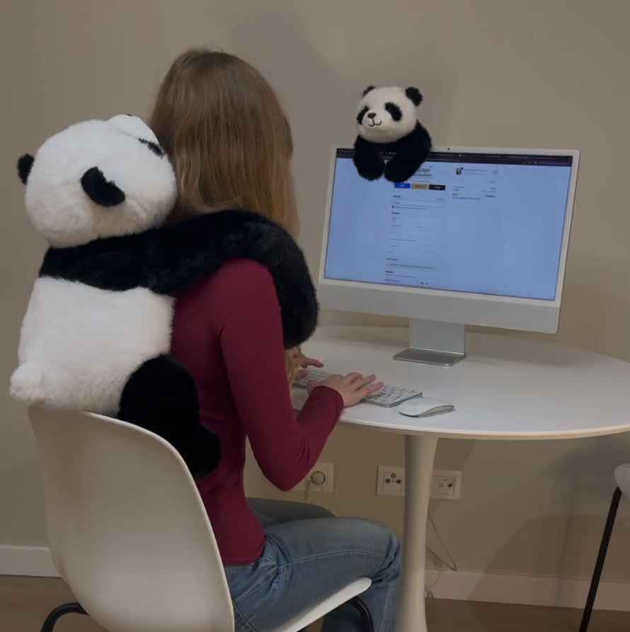 Obciążak™ - Obciążany Pluszak