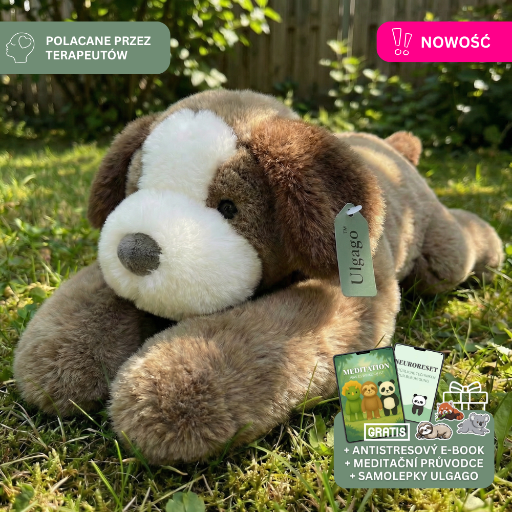 Obciążak™ - Obciążany Pluszak